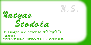 matyas stodola business card